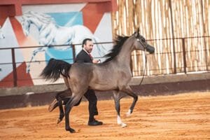 BRAZILIAN BREEDERS ´CUP 2021