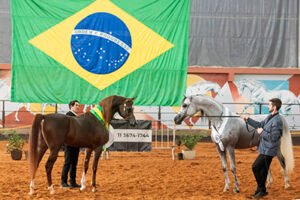 35ª Interestadual do Cavalo Árabe