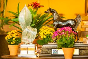 BRAZILIAN BREEDERS’ CUP 2022