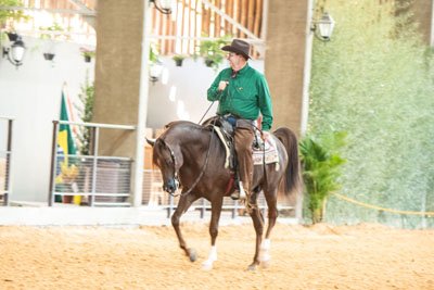 PRINCE OF DESERT FWM - BANDIT SRA x PS DESERT ROSE x MARWAN AL SHAQAB