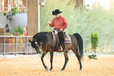 QCZAR MISTER JM - MISTER STYLE JM x IVORY JM x *NV SURE FIRE