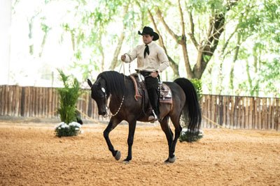 GAUDI FBK - GRAN APOLLO x HDF BARCELONA x MAGNUM CHALL HVP