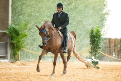 ZDYOR JM - RFI MAKTUB x ECHO MONIELA x ECHO MAGNIFFICOO