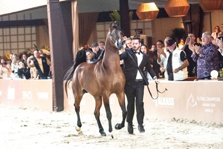 EMIR SAHARA - EMERALD J x SAHARA DAGHIRAH x *DENALI BHF