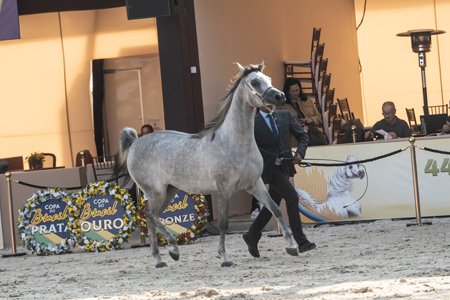 NAJMA EL ITAIPU RB - TM ITAIPU x SYMPHONY RB x *SIRAJJ UB