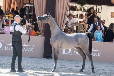 ECSTASY ARABCO - TM ITAIPU x BRUNET ARABCO x PCF VISION