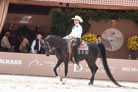 EMAGNIFICO BANDIT JM - BANDIT SRA x SHANNAYA D'MAGNUM JM x MAGNUM PSYCHE