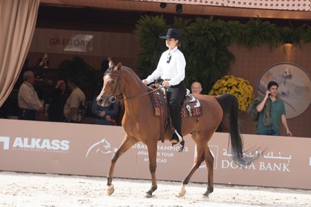 GAUDI FBK - GRAN APOLLO x HDF BARCELONA x MAGNUM CHALL HVP
