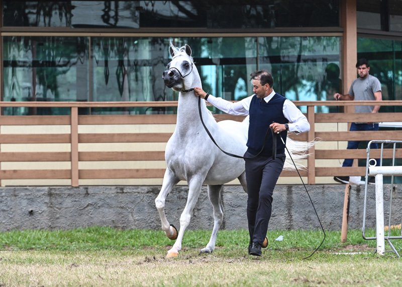 RD CAPRIOTTI - SHANGHAI EA x MI MORENA x MARWAN AL SHAQAB