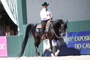 45ª EXPOSIÇÃO NACIONAL DO CAVALO ÁRABE
